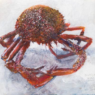 Newlyn spider crab.  2014.    mixed media on museum board.  23 x 24cm.