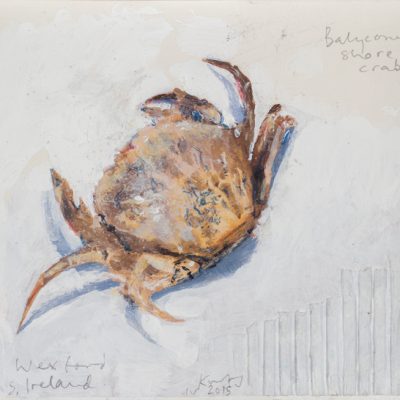 Balyconnegar shore crab Ireland.  2015.    mixed media and collage on museum board.  17 x 20cm.