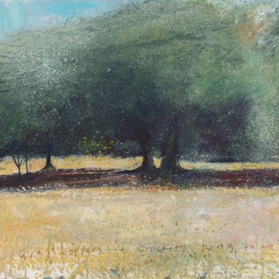 The odd fig tree amongst the French olive trees. Hot sunlight...2015.   mixed media on museum board.  58 x 61cm.