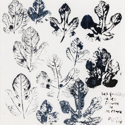 Les feuilles des figuiers de St Marc. 2015.   ink on paper.  38 x 37cm.