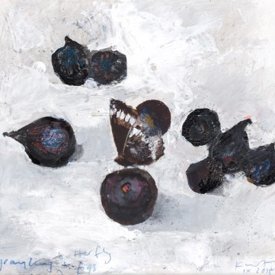 Grayling butterfly and figs. 2015.   mixed media on museum board.  20.5 x 21.5cm.