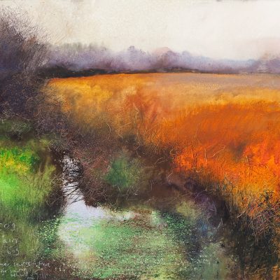 Fog and rain and bog...September 2015.     mixed media on paper.    57x 61cm.