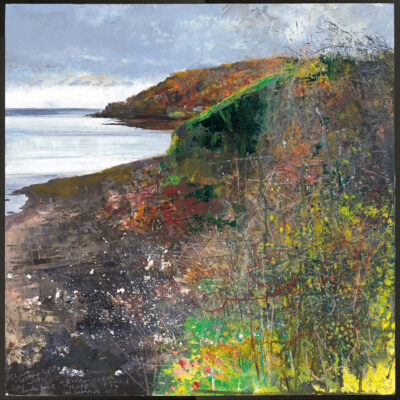 Sharp Morning light, low water, Penlee point. Bramble, kidney vetch, thift, figwort, sea campion, ivy. 2024.   mixed media on museum board.   50 x 50cm.