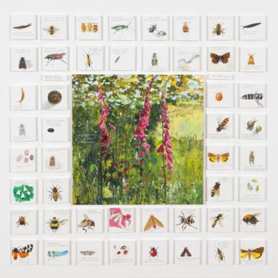 37 Bioblitz of a common foxglove. 2024.   mixed media on museum board.     60 x 60cm.