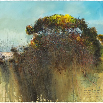 Sun on the gorse, sun on the sea, sun behind the blackthorn. 2021.   mixed media on paper.      57 x 60cm.