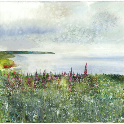 Floral cliff. Carn Gloose, the morning mist lifts slowly. 2024.   mixed media on paper.     57 x 59cm.
