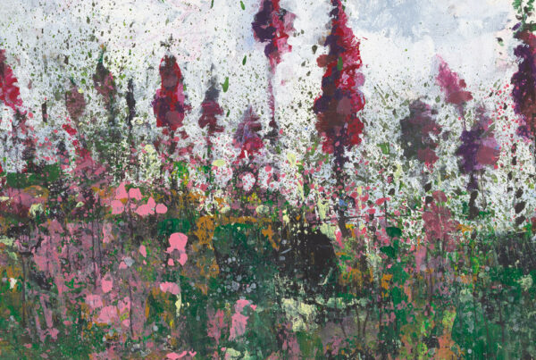 Image of Kurt Jackson's Foxglove Catalogue featuring a colourful selection of Foxgloves.